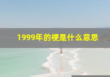 1999年的梗是什么意思