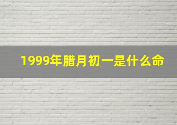 1999年腊月初一是什么命