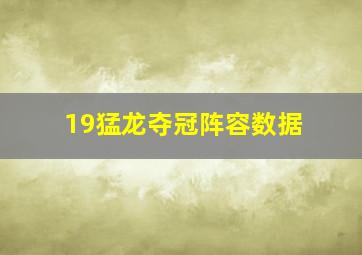 19猛龙夺冠阵容数据