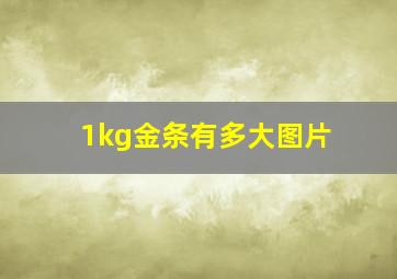 1kg金条有多大图片