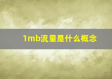 1mb流量是什么概念