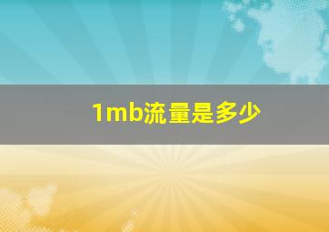 1mb流量是多少