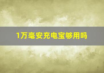 1万毫安充电宝够用吗