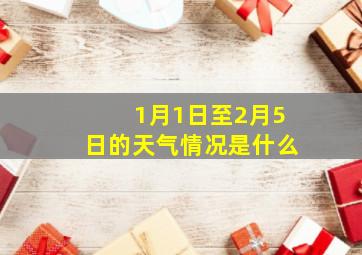 1月1日至2月5日的天气情况是什么