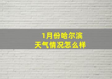 1月份哈尔滨天气情况怎么样