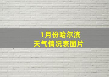 1月份哈尔滨天气情况表图片