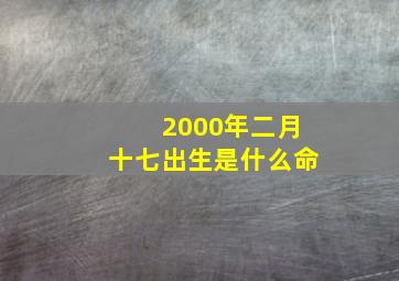 2000年二月十七出生是什么命