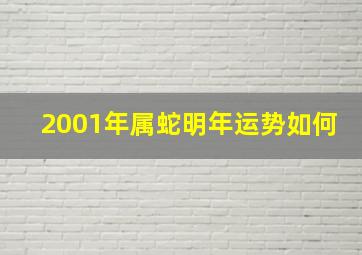 2001年属蛇明年运势如何