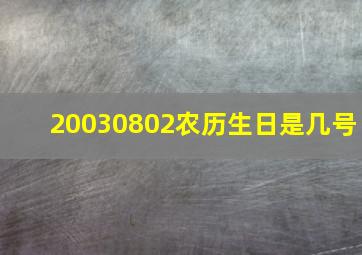 20030802农历生日是几号