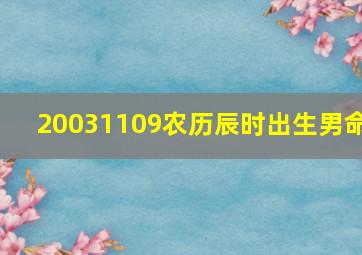 20031109农历辰时出生男命