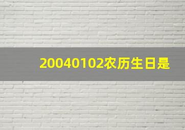 20040102农历生日是