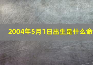 2004年5月1日出生是什么命