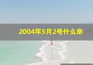 2004年5月2号什么命