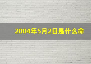 2004年5月2日是什么命