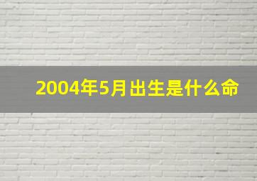 2004年5月出生是什么命