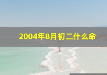 2004年8月初二什么命