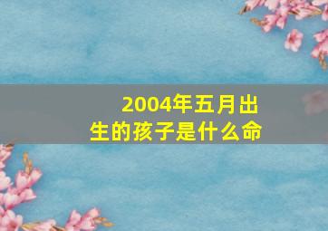 2004年五月出生的孩子是什么命