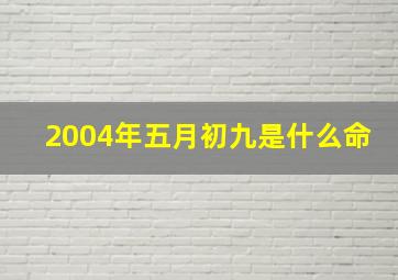 2004年五月初九是什么命