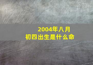 2004年八月初四出生是什么命