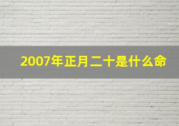 2007年正月二十是什么命