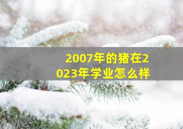 2007年的猪在2023年学业怎么样