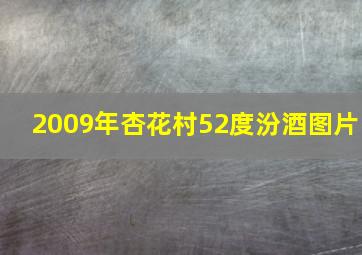 2009年杏花村52度汾酒图片