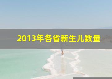 2013年各省新生儿数量