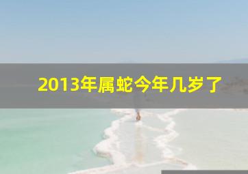 2013年属蛇今年几岁了