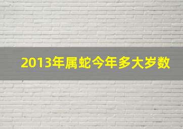 2013年属蛇今年多大岁数