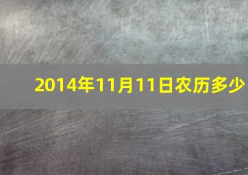 2014年11月11日农历多少