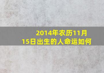 2014年农历11月15日出生的人命运如何