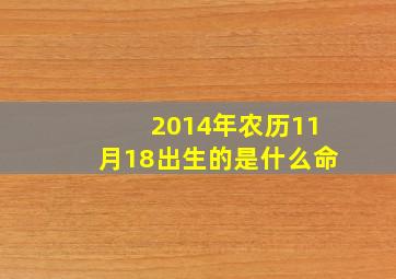 2014年农历11月18出生的是什么命