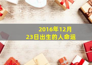 2016年12月23日出生的人命运