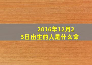 2016年12月23日出生的人是什么命