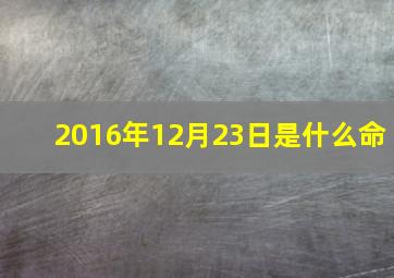 2016年12月23日是什么命