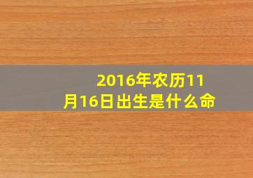 2016年农历11月16日出生是什么命