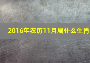 2016年农历11月属什么生肖