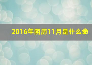 2016年阴历11月是什么命