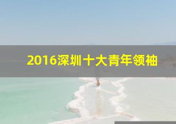 2016深圳十大青年领袖