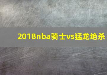 2018nba骑士vs猛龙绝杀