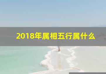 2018年属相五行属什么