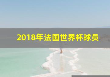 2018年法国世界杯球员