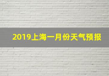 2019上海一月份天气预报