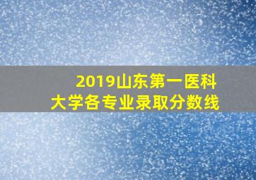 2019山东第一医科大学各专业录取分数线