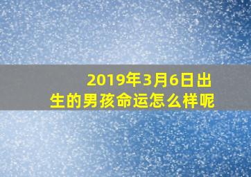 2019年3月6日出生的男孩命运怎么样呢