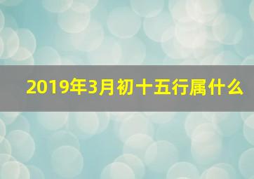 2019年3月初十五行属什么