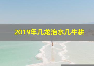 2019年几龙治水几牛耕