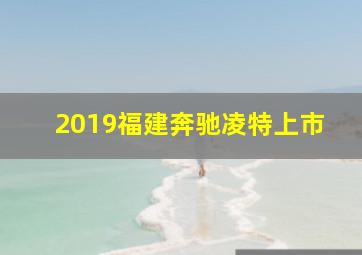 2019福建奔驰凌特上市