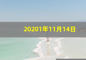 20201年11月14日