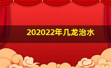 202022年几龙治水